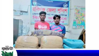 চুনারুঘাটে ২৮ কেজি গাঁজাসহ গ্রেপ্তার দুই