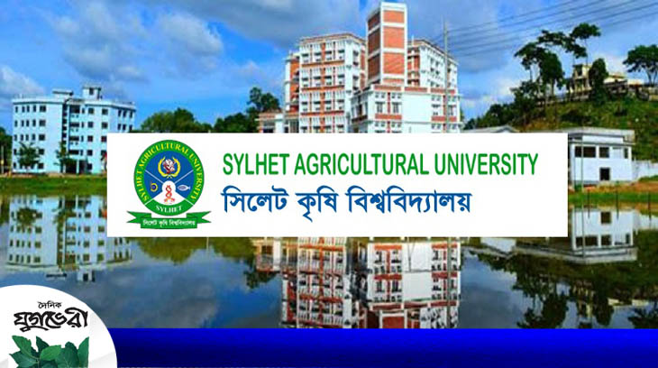 সিকৃবির গবেষকদের সাফল্য : হাওরে সবজি চাষে নিরব বিপ্লব