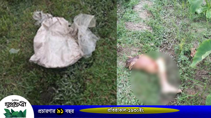 শ্রীমঙ্গলে পৃথক স্থান থেকে টুকরো করা মানুষের হাত পা উদ্ধার