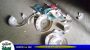 কানাইঘাটে ছোট ভাই ও ভাতিজাদের হাতে বড় ভাই হেনেস্তার শিকার