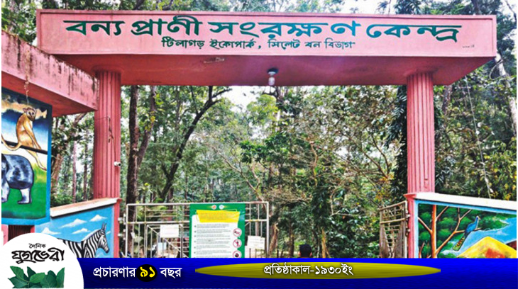 সিলেট বন্যপ্রাণী সংরক্ষণ কেন্দ্র : প্রাণীগুলো বাঁচবে কিভাবে?
