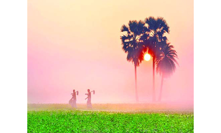 শীতের আগমনী বার্তা