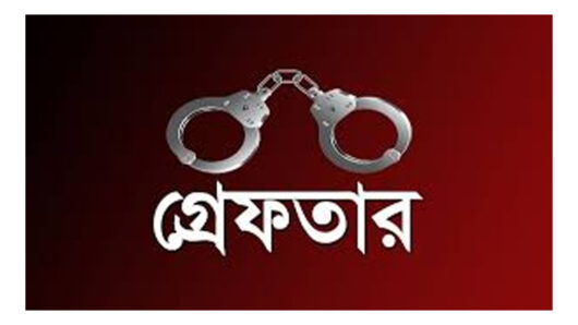 সাংবাদিক মাসুদ আলী গ্রেপ্তার