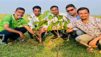 ফেঞ্চুগঞ্জ উপজেলা প্রশাসনের উদ্যোগে হাকালুকি হাওরে গাছের চারা রোপন