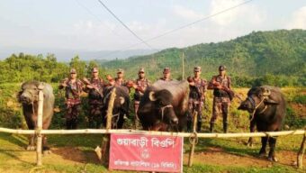 সিলেটে ১৬ লাখ টাকার ভারতীয় গরু-মহিষ আ ট ক