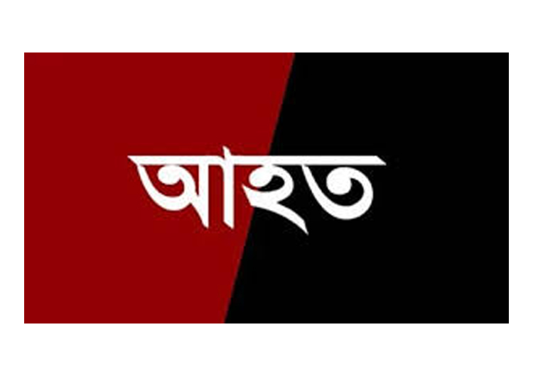 মৌলভীবাজারে ছাত্রলীগ নেতা তুহিনের বাড়িতে বিএনপির হামলা, মা-ছেলে আহত