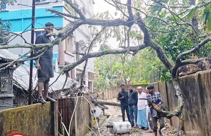 আকস্মিক ঝড়ে বিপর্যস্ত কমলগঞ্জের বিদ্যুৎ ব্যবস্থা