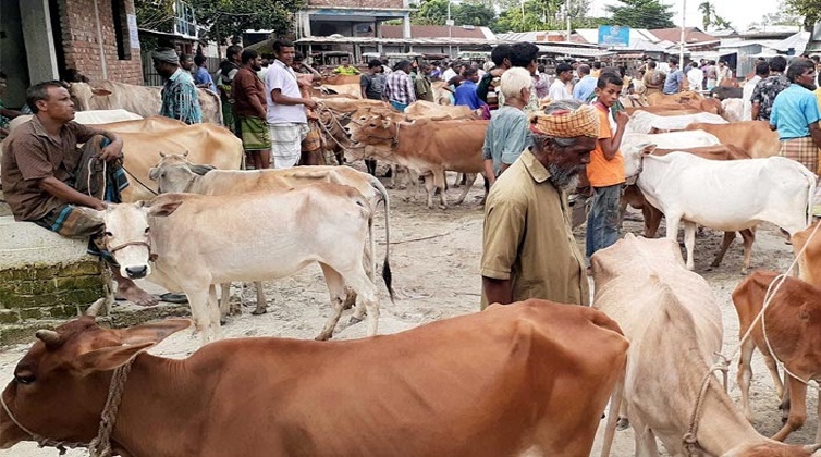 অর্ধশতাব্দি পর কাজির বাজার পশুর হাটের মালিকানায় পরিবর্তন, আছে শঙ্কাও