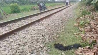সিলেটে রেললাইন থেকে নারীর মরদেহ উদ্ধার